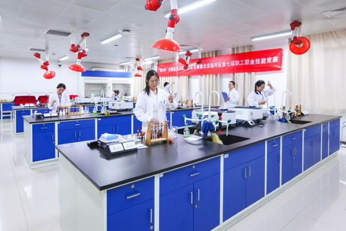 北京經(jīng)開區(qū)舉辦“精藝杯”藥物檢驗(yàn)員職業(yè)技能競(jìng)賽，助推產(chǎn)業(yè)人才高地建設(shè)